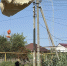 IMG_20260812_110629_723 - Сетевое издание Арбуз