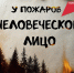 Более 12 000 000 рублей заплатят жители Бурятии за нарушение правил пожарной безопасности в лесах - Агентство лесного хозяйства