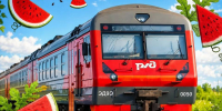Пригородный поезд на Камышинский арбузный фестиваль отправится 22 августа - Газета Городские вести