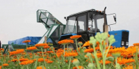 image - GazetaRB.Ru