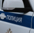 Белгородские полицейские проведут проверку публикаций о жестоком обращении с животными - Сетевое издание Знамя 31