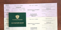 Сезон охоты на пернатую дичь в Красноярском крае откроется 29 августа - Наш Красноярский край