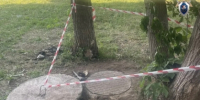 В Оренбургской области перед судом предстанет местный житель, обвиняемый в причинении тяжкого вреда здоровью сожительнице, повлекшем ее смерть - Следственный комитет