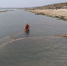 В дагестанском секторе Каспийского моря за семь лет выявлено 17 новых обитателей - РИА Дагестан
