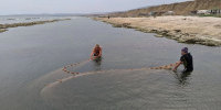 В дагестанском секторе Каспийского моря за семь лет выявлено 17 новых обитателей - РИА Дагестан
