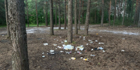 В Коми к 2029 году планируют ликвидировать 73 свалки - Pg11.Ru