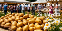 Гастрономический фестиваль «Картошка Фест 2026» - Комитет по развитию малого, среднего бизнеса и потребительского рынка