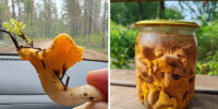 читательница 29.RU | Источник: Простой и вкусный рецепт - 29.Ru