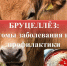 Бруцеллёз. Памятка населению.. - Хабарский район