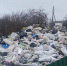 мусор - РИА Омск-информ