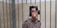 Курские полицейские задержали женщину из-за дерзкого ограбления пенсионерки - РИА Курск