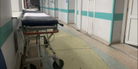 Упавшее дерево в парке Мончегорска приковало женщину к постели. Чиновники платить не хотят - SeverPost.ru