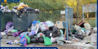 «Это уже не двор, а помойка:» волжане в ярости из за мусорного беспредела - Блокнот Волжского