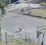 В Великих Луках очевидец сообщила об издевательствах над приютскими собаками - Luki.Ru