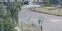 В Великих Луках очевидец сообщила об издевательствах над приютскими собаками - Luki.Ru
