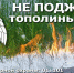 МЧС по Пензенской области предупреждает: тополиный пух — источник повышенной пожарной опасности - Башмаковский район