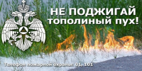 МЧС по Пензенской области предупреждает: тополиный пух — источник повышенной пожарной опасности - Башмаковский район