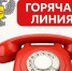 В Управлении Роспотребнадзора по Воронежской области открыта «горячая линия» по вопросам качества и безопасности детских товаров, школьных принадлежностей. - Администрация Грибановского района