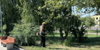 покос травы - Администрация г. Рубцовск