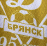 Брянское Динамо - MyBryansk.Ru