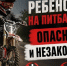 Осторожно, питбайк – не игрушка!!!. - Емельяновский район