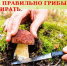 Будьте осторожны!. - Емельяновский район