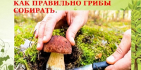Будьте осторожны!. - Емельяновский район