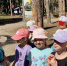 Фото: https://minobr.pnzreg.ru/ - Penza-Post.Ru