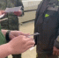 Военные провели очередной рейд в Петрозаводске: нарушителей отправили в военкомат - Gubdaily.Ru