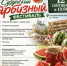 Сузунский арбузный фестиваль - Краснозерский район
