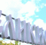 В Великих Луках установили новые интерактивные формы - Luki.Ru
