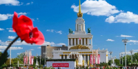 Мурманская область представит вкус Арктики на фестивале «Вкусы России» на ВДНХ - Министерство информационной политики