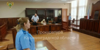 Отчим убитого 7-летнего мальчика из Черняховска приговорен к пожизненному заключению - Комсомольская правда
