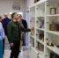 Губернатор оценил новое интерактивное оборудование Плюсской районной модельной библиотеки - Правительство Псковской области