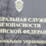 В Ненецком автономном округе вступил в законную силу приговор руководителю коммерческой организации, виновному в неправомерном обороте средств платежей и легализации преступных доходов - КлубСМИ