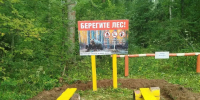 Берегите лес от пожаров - Департамент лесного хозяйства