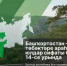 Республиканың матур юлдары - Дюртюлинский район
