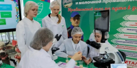 В новом учебном году проект «Билет в будущее» охватит порядка 32 тысяч школьников Псковской области                      - Министерство образования