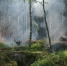 image - GazetaRB.Ru