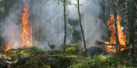 image - GazetaRB.Ru
