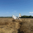 В Самарской области возбудили уголовное дело по факту падения самолета АН-2 - SamaraGIS.Ru