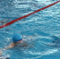 9 августа 2026 года, в бассейне п.Плодовое состоялись соревнования, посвященные Дню посёлка Плодовое! - Газета Приозерские ведомости