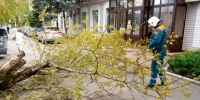 Пострадавшую госпитализировали в клинику №1 ЦГКБ Великого Новгорода. - Новгородские Ведомости