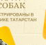 Более 70 тысяч собак получили официальный статус!  - Главное управление ветеринарии