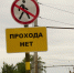 background - Вологда-поиск