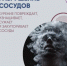 Курение медленно разрушает ваше сердце и сосуды - Домбаровский район