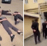 В Ярославле поймали мошенников, которые незаконно получали социальные выплаты для развития бизнеса | Источник: УМВД России по Ярославской области / Max - 76.Ru