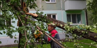 В Уфе во время сильного ливня упали 13 деревьев, обошлось без пострадавших - Комсомольская правда
