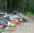 Кладбище в Пасегово утопает в мусоре - Kirov.Online