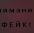 Фото: телеканал «Краснодар» - ТК Краснодар